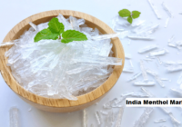 India Menthol Market