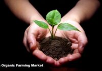 India Organic Farming Market