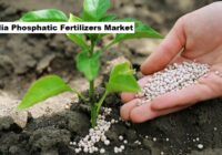 India Phosphatic Fertilizers Market