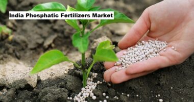 India Phosphatic Fertilizers Market