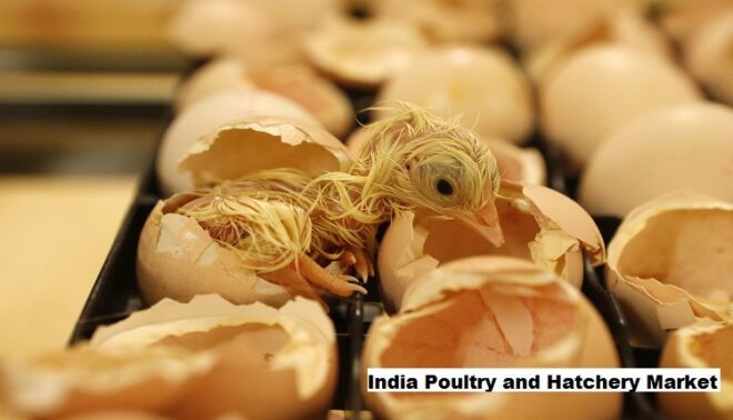 India Poultry and Hatchery Market