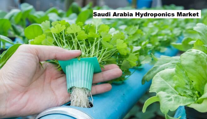 Saudi Arabia Hydroponics Market