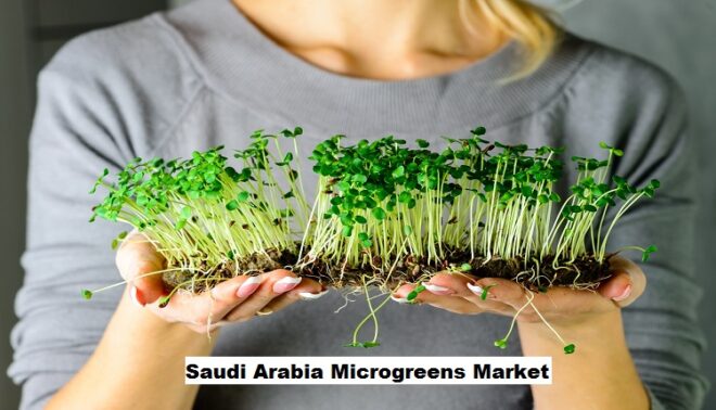 Saudi Arabia Microgreens Market