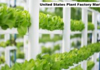 United States Plant Factory Market