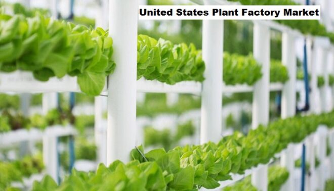 United States Plant Factory Market