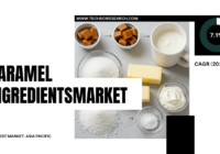 Caramel Ingredients Market (USD 2.43 Billion Valuation, Growth Rate of 7.1% CAGR): Key Insights and Market Share. Free Sample Report.