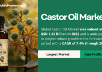 Castor Oil Market Key Trends and Forecast: [USD 1.32 Billion] Valuation and [7.4% CAGR]. Click to get a Free Sample Report Now.