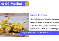 Corn Oil Market Demand: Key Players and Market Size to Reach [USD 5.65 Billion]. Click to get a Free Sample Report now for insights.