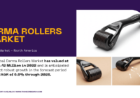 Derma Rollers Market Trends, Demand, and Forecast – Key Insights and Growth Outlook. Click now to get a Free Smple report.