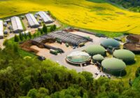 Global Biogas Market