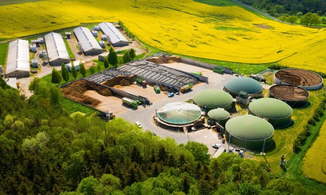 Global Biogas Market