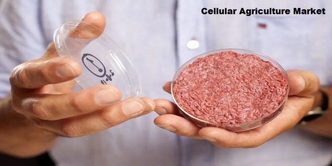 Global Cellular Agriculture Market