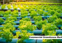 Global Commercial Greenhouse Market