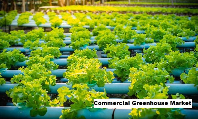 Global Commercial Greenhouse Market