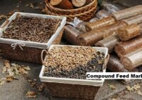 Global Compound Feed Market