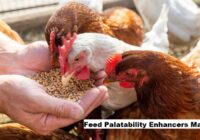 Global Feed Palatability Enhancers Market