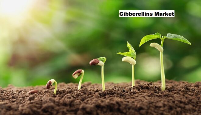 Global Gibberellins Market