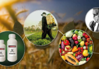 Global Pesticides Market