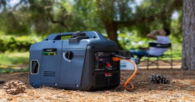 Global Portable Inverter Generators Market