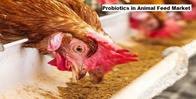 Global Probiotics in Animal Feed Market