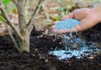 Global Water Soluble NPK Fertilizers Market