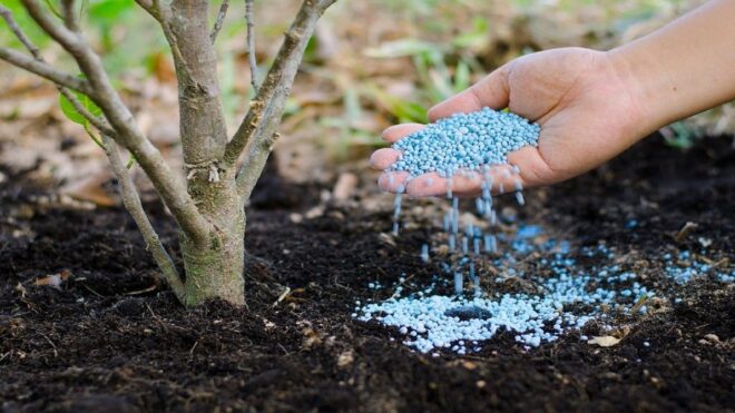 Global Water Soluble NPK Fertilizers Market