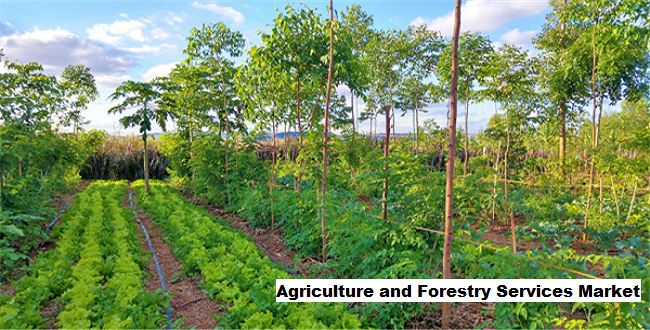 Agriculture and Forestry Services Market