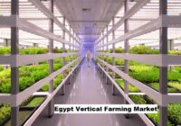 Egypt Vertical Farming Market