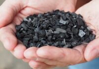 Global Enriched Biochar Market