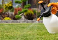 Global Herbicides Market