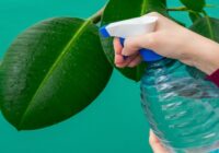 Global Potassium Soap Insecticides Market
