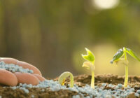 North America Fertilizers Market