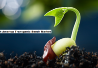 North America Transgenic Seeds Market