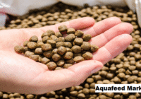 Global Aquafeed Market