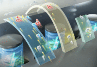 Global Aqueous Battery Market