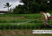 Global Biorational Pesticides Market