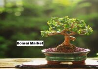 Global Bonsai Market