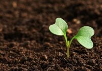 Global Carbon Farming Market