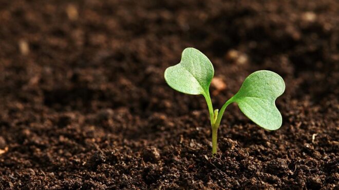 Global Carbon Farming Market