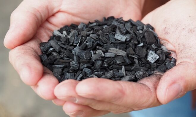 Global Enriched Biochar Market