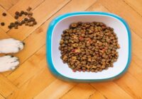 Global Feed Palatability Enhancers Market
