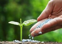 Global Fertilizer Additives Market