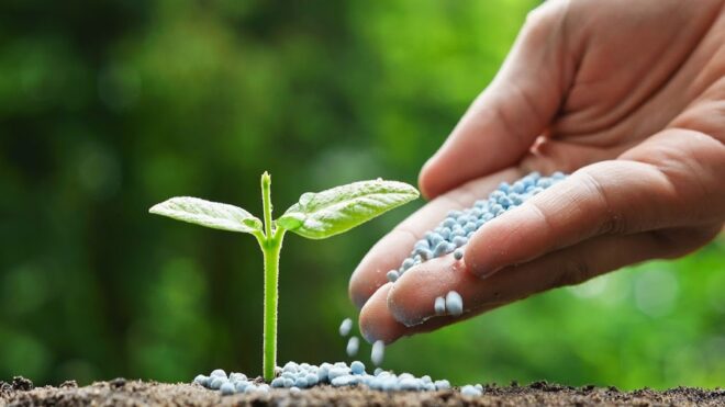 Global Fertilizer Additives Market