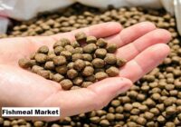 Global Fishmeal Market