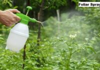 Global Foliar Spray Market