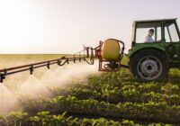 Global Insecticides Market