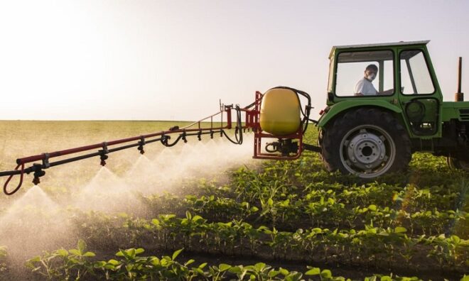 Global Insecticides Market