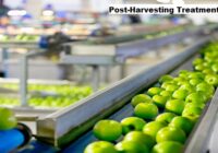 Post-Harvesting Treatment Market