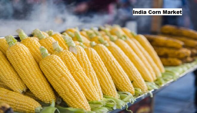 India Corn Market