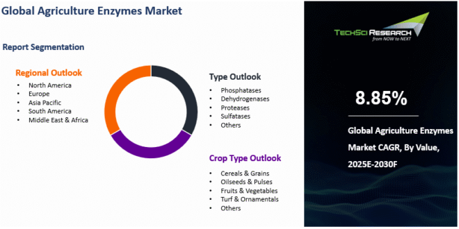 Global Agriculture Enzymes Market